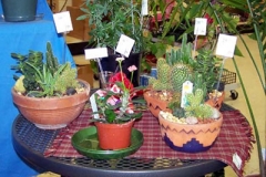 flowers-07